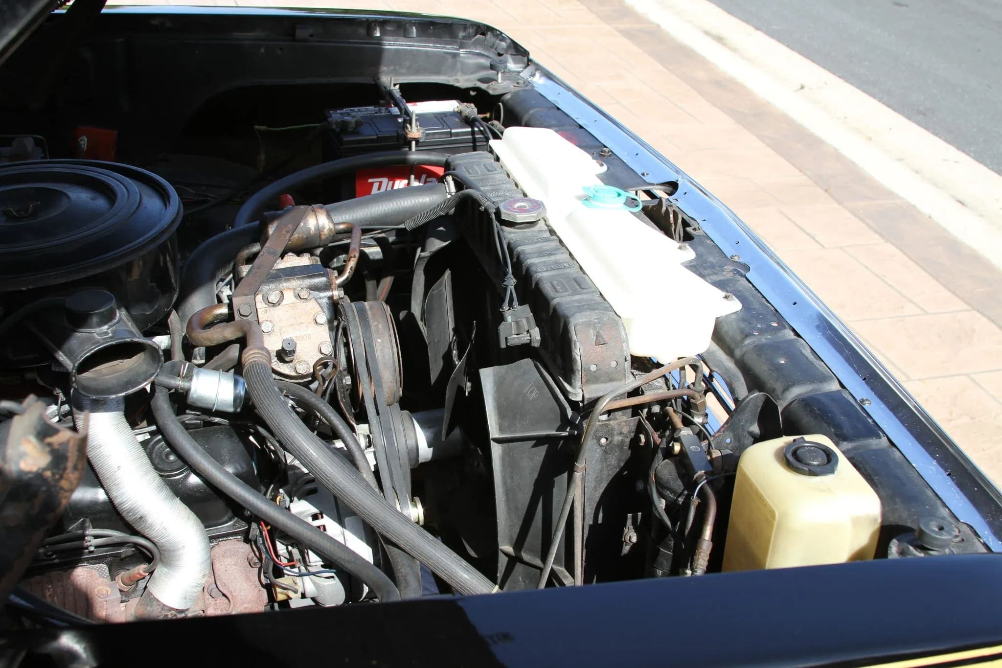 1978 Dodge D150 Warlock, view