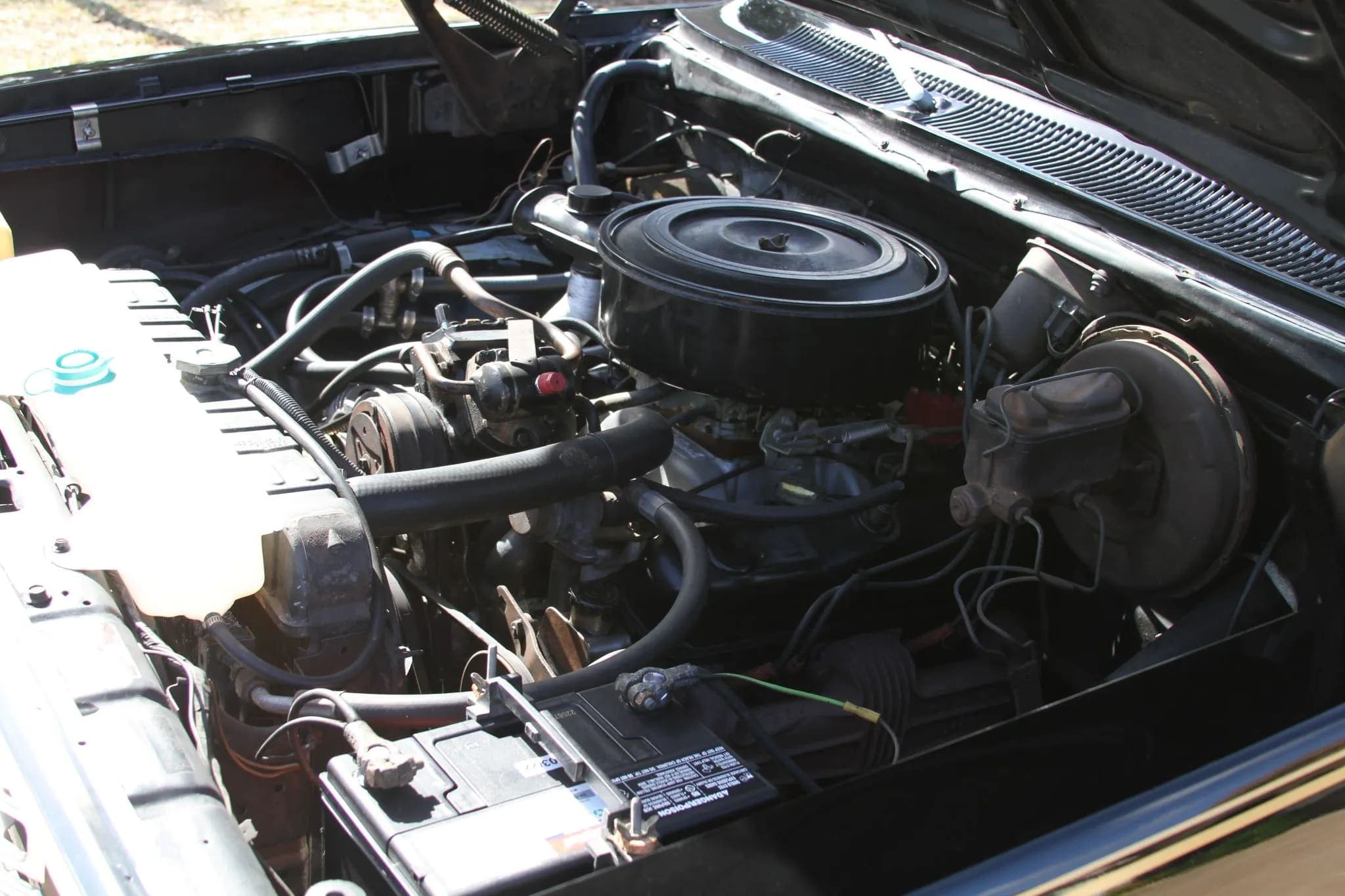 1978 Dodge D150 Warlock, view
